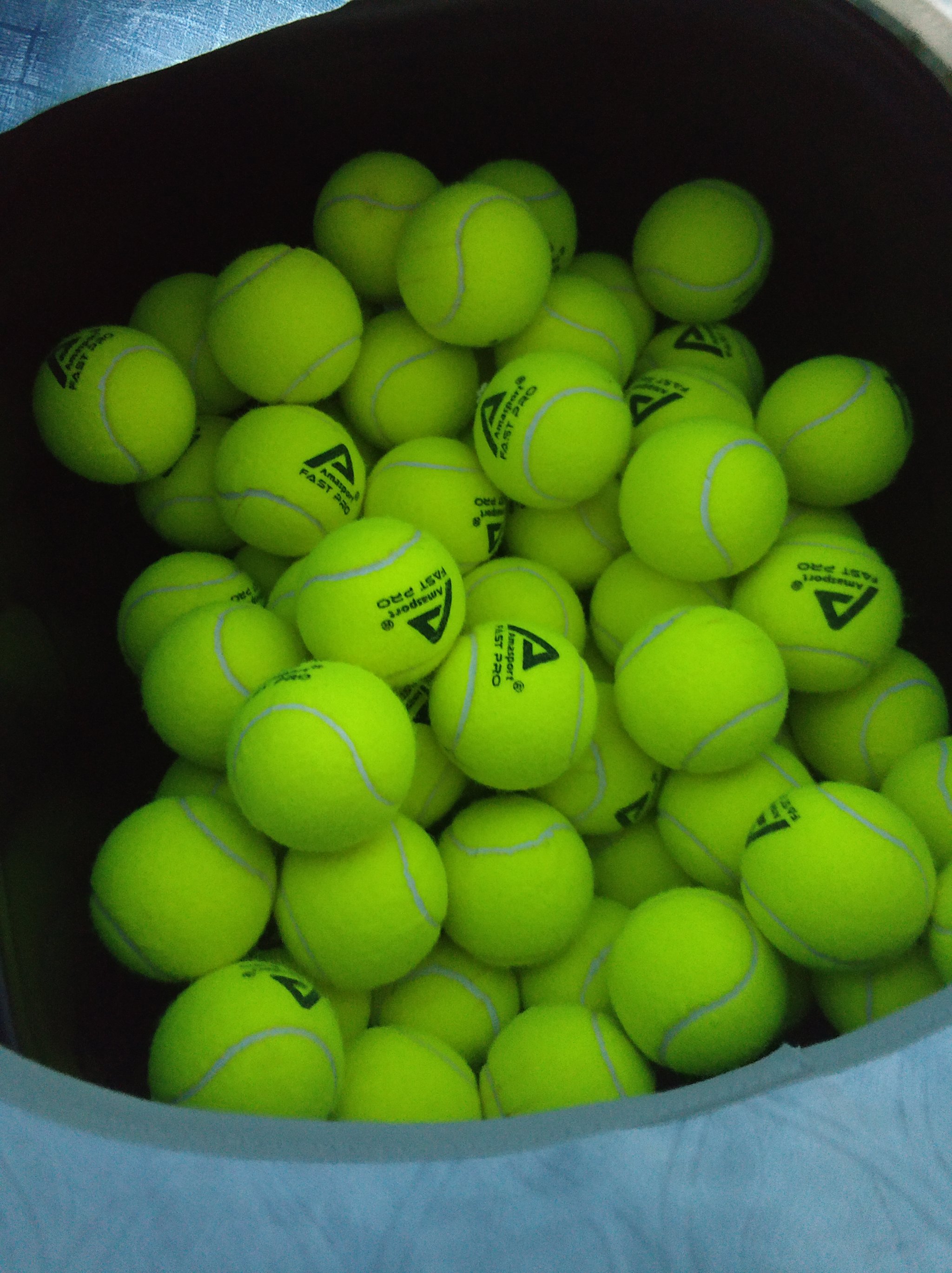 标不仅是提 标不仅是提