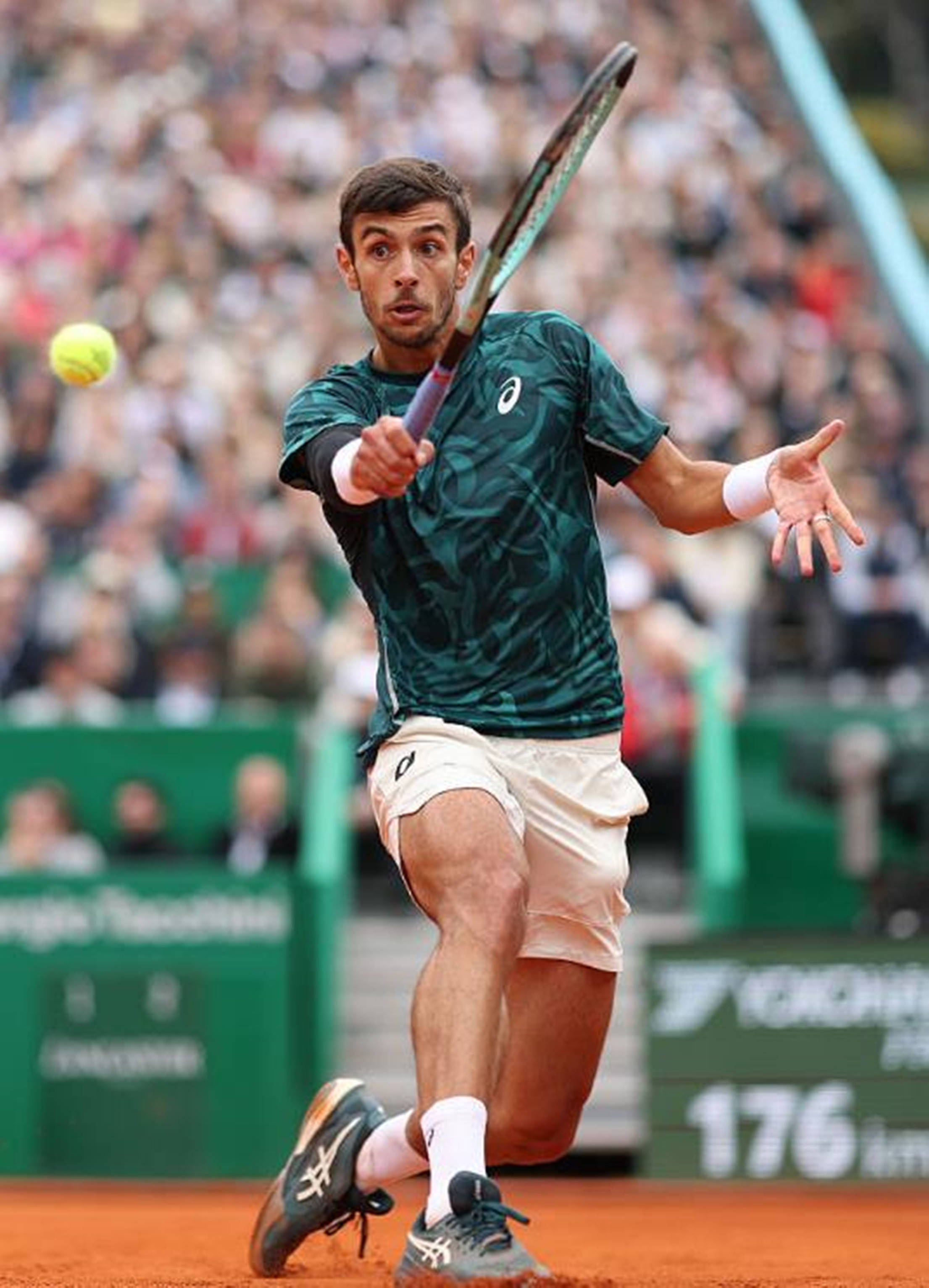 臂力超越姚 臂力超越姚