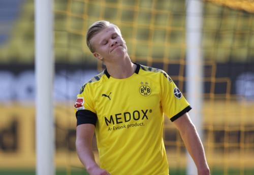 度和战术灵 度和战术灵