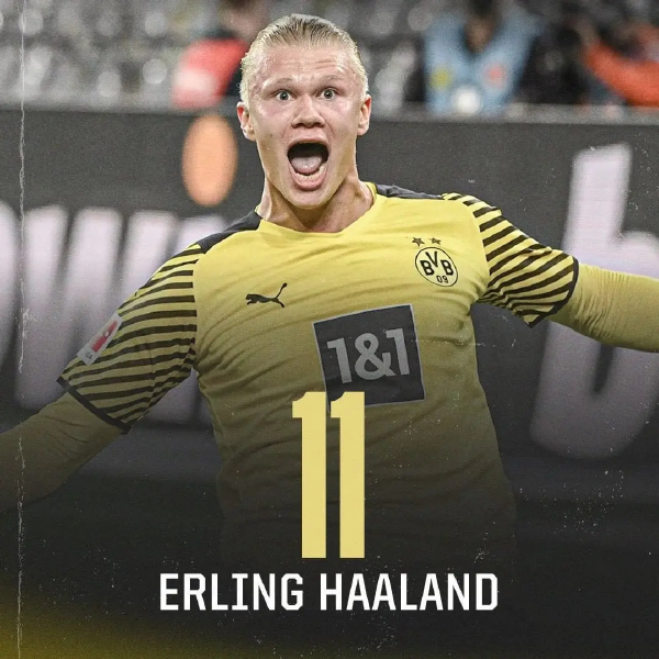 23春季赛 23春季赛